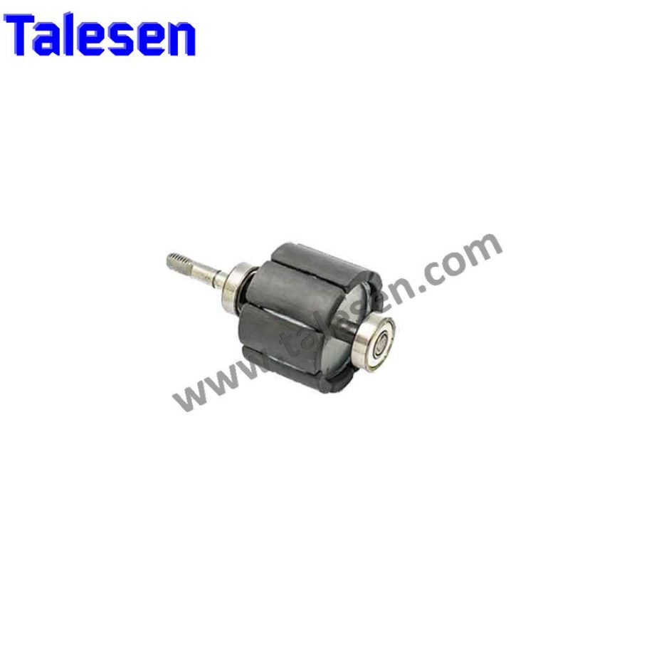 Sinterted Ferrite Magnet - Shanghai Talesen Magnetic Material Co., Ltd.