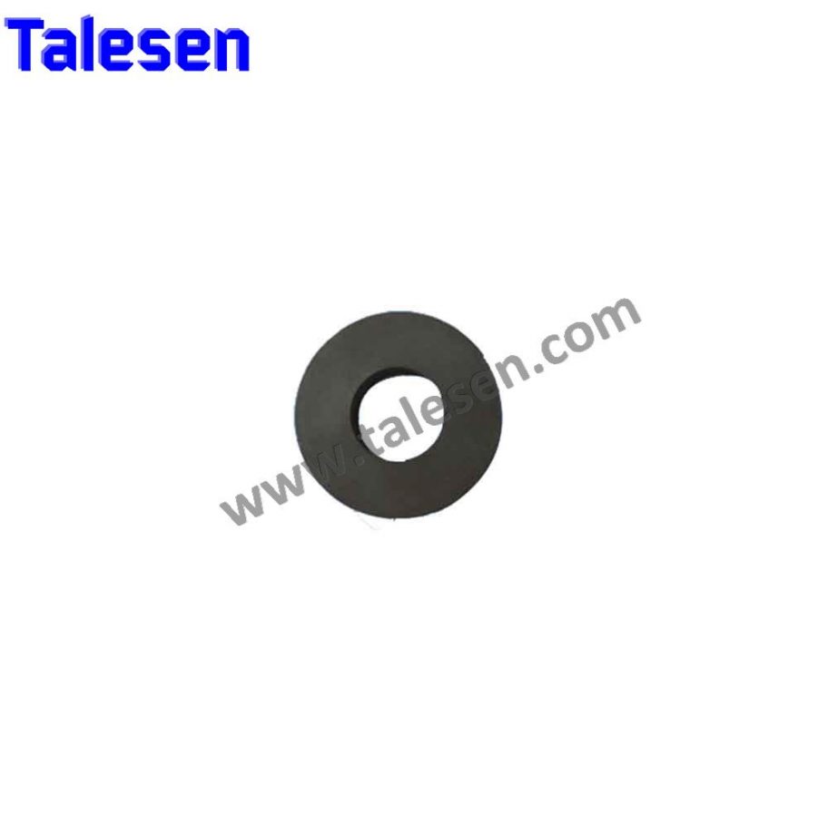 Ring Magnet - Shanghai Talesen Magnetic Material Co., Ltd.